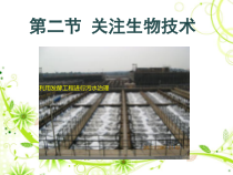 《第二节 关注生物技术》PPT课件2-苏教版生物八年级下册