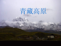 《青藏高原》西藏风俗PPT课件4-八年级下册音乐【辽海版】