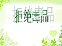 《第二节 拒绝毒品》PPT课件2-苏教版生物八年级下册