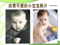 《第三节 人的性别决定》PPT课件2-苏教版生物八年级下册