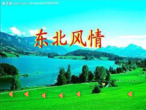 《欢欢喜喜来过年》PPT课件 (2)-七年级上册音乐【辽海版】