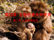 《第三节 人的性别决定》PPT课件1-苏教版生物八年级下册