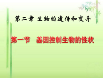 《第二节 人的性状和遗传》PPT课件1-苏教版生物八年级下册