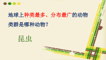 《第三节 昆虫的生殖与发育》PPT课件1-苏教版生物八年级下册