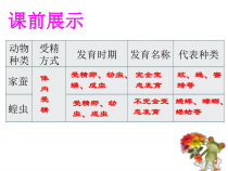 《第四节 两栖类的生殖与发育》PPT课件1-苏教版生物八年级下册