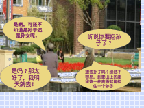 《第三节 人的性别决定》PPT课件5-苏教版生物八年级下册