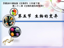 《第五节 生物的变异》PPT课件1-苏教版生物八年级下册