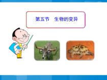 《第五节 生物的变异》PPT课件2-苏教版生物八年级下册