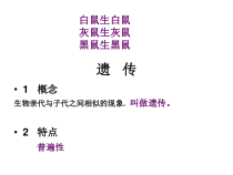 《第一节 DNA是主要的遗传物质》PPT课件1-苏教版生物八年级下册