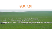 《美丽的草原我的家》PPT课件-七年级下册音乐【辽海版】