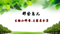 《第五节 鸟类的生殖与发育》PPT课件1-苏教版生物八年级下册