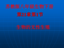 《第一节 生物的无性生殖》PPT课件3-苏教版生物八年级下册