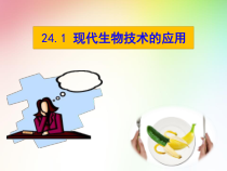 《第一节 现代生物技术的应用》PPT课件3-苏教版生物八年级下册