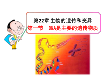 《第一节 DNA是主要的遗传物质》PPT课件2-苏教版生物八年级下册