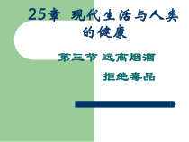 《第一节 远离烟酒》PPT课件2-苏教版生物八年级下册