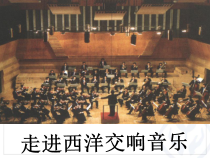 《青少年管弦乐队指南》PPT课件2-七年级上册音乐【人教版】