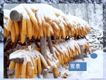 《月牙儿五更》PPT课件3-七年级上册音乐【人教版】