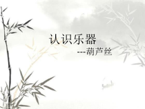《乐器常识》PPT课件1-八年级上册音乐【人教版】