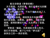 《青春舞曲》PPT课件9-八年级上册音乐【人教版】