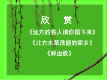 《远方的客人请你留下来》PPT课件3-八年级上册音乐【人教版】