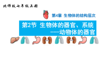 北师大版生物七年级上册（课件12份可预览）
