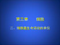 《第2节 细胞是生命活动的单位》PPT课件2-北师大版生物七年级上册