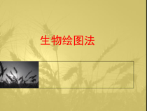《附录1　绘图方法和要求》PPT课件2-北师大版生物七年级上册