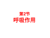 《第2节 呼吸作用》PPT课件2-北师大版生物七年级上册