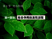 《第1节 光合作用》PPT课件3-北师大版生物七年级上册