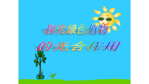 《第1节 光合作用》PPT课件2-北师大版生物七年级上册