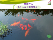 《第2节 生物与环境的相互影响》PPT课件2-北师大版生物七年级上册