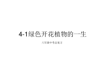 《第3节 生殖器官的生长》PPT课件2-北师大版生物七年级上册