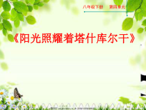 《阳光照耀着塔什库尔干》PPT课件2-八年级下册音乐【人教版】