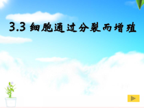 《第3节 细胞通过分裂而增殖》PPT课件3-北师大版生物七年级上册