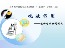 《第3节 吸收作用》PPT课件1-北师大版生物七年级上册