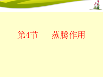 《第4节 蒸腾作用》PPT课件2-北师大版生物七年级上册