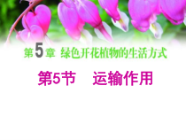 《第5节 运输作用》PPT课件4-北师大版生物七年级上册