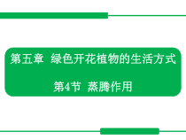 《第4节 蒸腾作用》PPT课件3-北师大版生物七年级上册