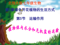 《第5节 运输作用》PPT课件1-北师大版生物七年级上册