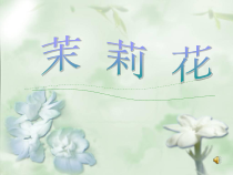 《唱歌 茉莉花》PPT课件3-九年级下册音乐【人教版】