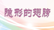 《选唱 隐形的翅膀 飞得更高 我相信》PPT课件1-九年级下册音乐【人教版】