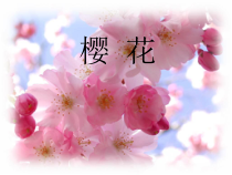 《樱花》PPT课件3-七年级上册音乐（五线谱）【人教版】