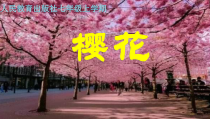 《樱花》PPT课件7-七年级上册音乐（五线谱）【人教版】