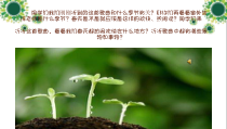 《渴望春天》PPT课件5-七年级下册音乐（五线谱）【人教版】
