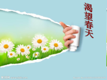 《渴望春天》PPT课件7-七年级下册音乐（五线谱）【人教版】