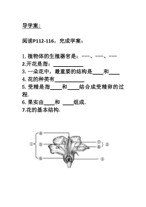 《第3节 生殖器官的生长》导学案-北师大版生物七年级上册