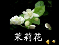 《唱歌 茉莉花》PPT课件1-九年级下册音乐（五线谱）【人教版】