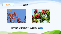 《山楂树》PPT课件1-七年级下册音乐【人音版】