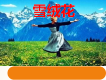 《《雪绒花》（片段）》PPT课件1-八年级上册音乐【人音版】