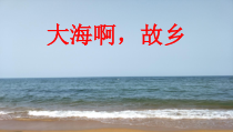 《大海啊，故乡》PPT课件1-八年级上册音乐【人音版】